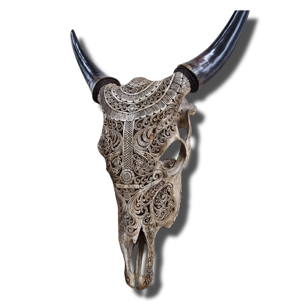 COW Skull Half Boho Carved