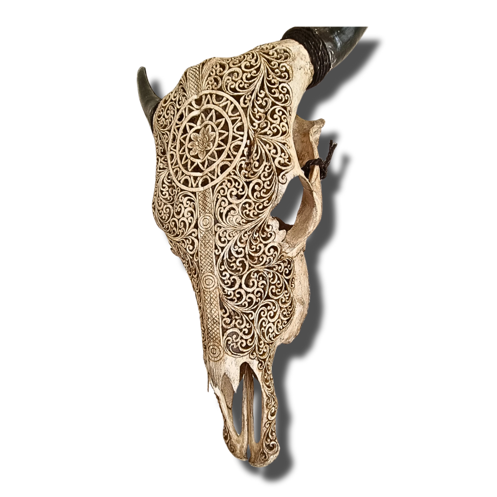 COW Skull Boho Carved