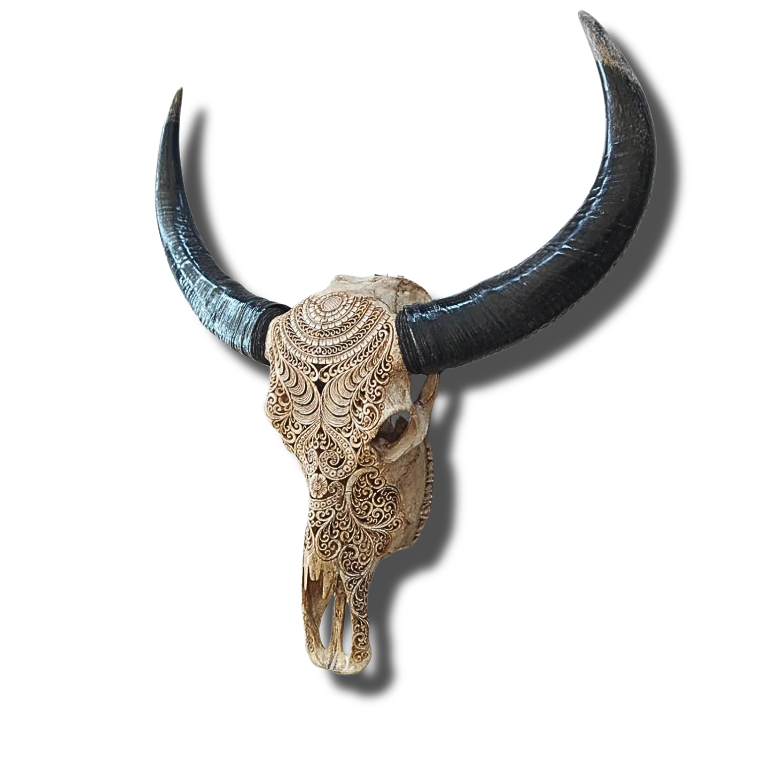 BUFFALO Skull Boho Manian Carved