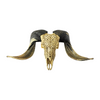 RAM Skull Celtic Carved
