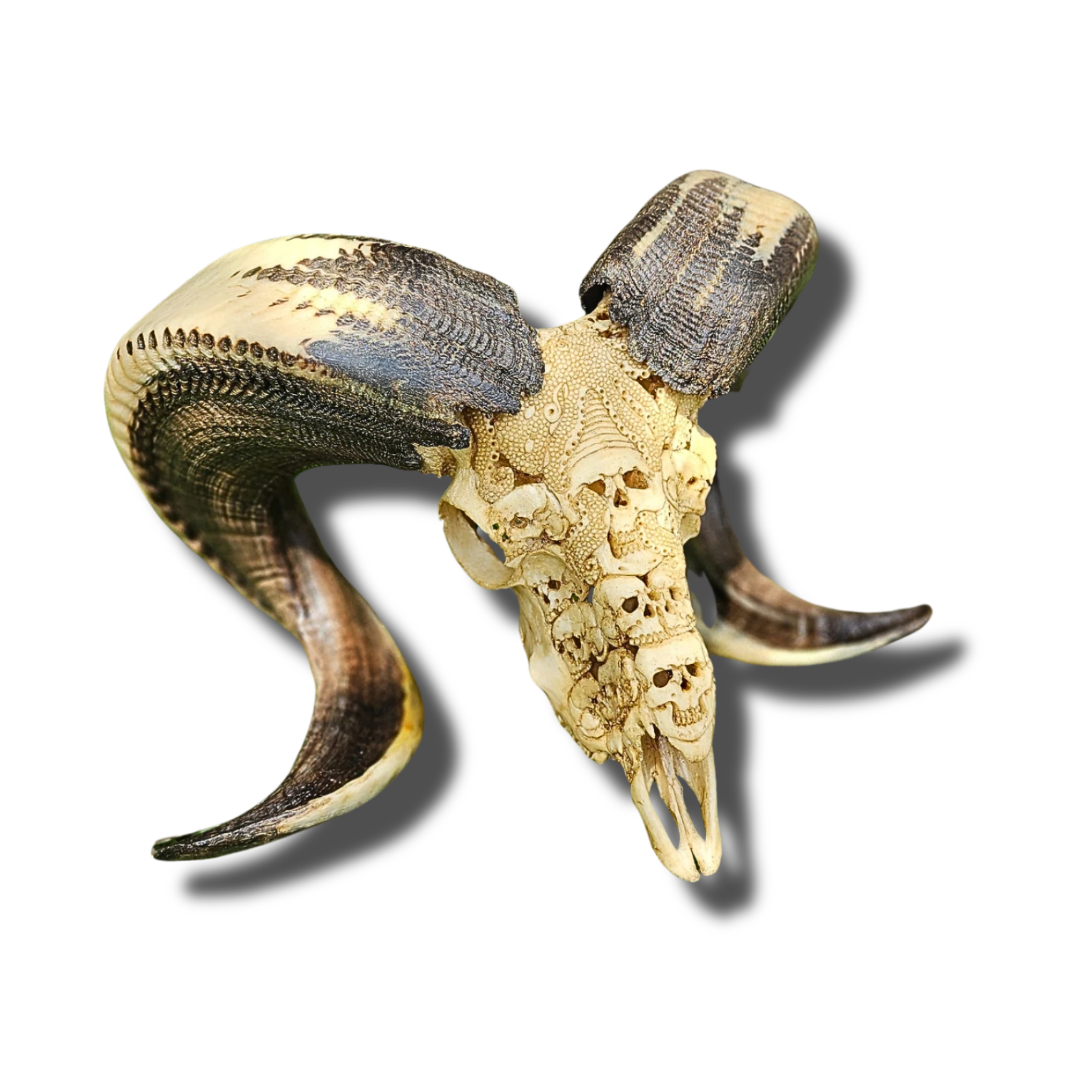 RAM Skull Octopus Carved