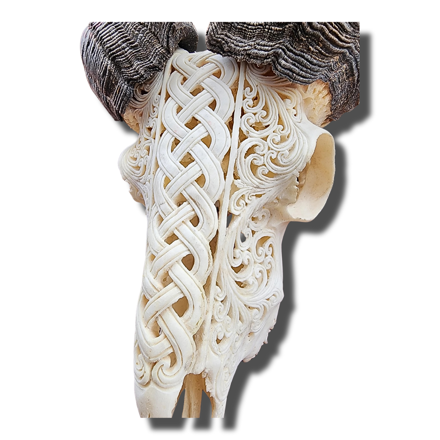 RAM Skull White Celtic Carved
