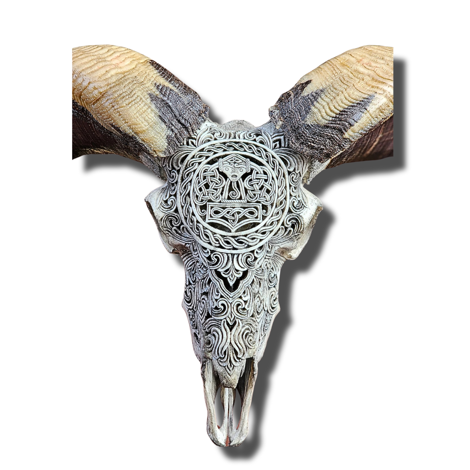 RAM Skull Gray Viking Carved