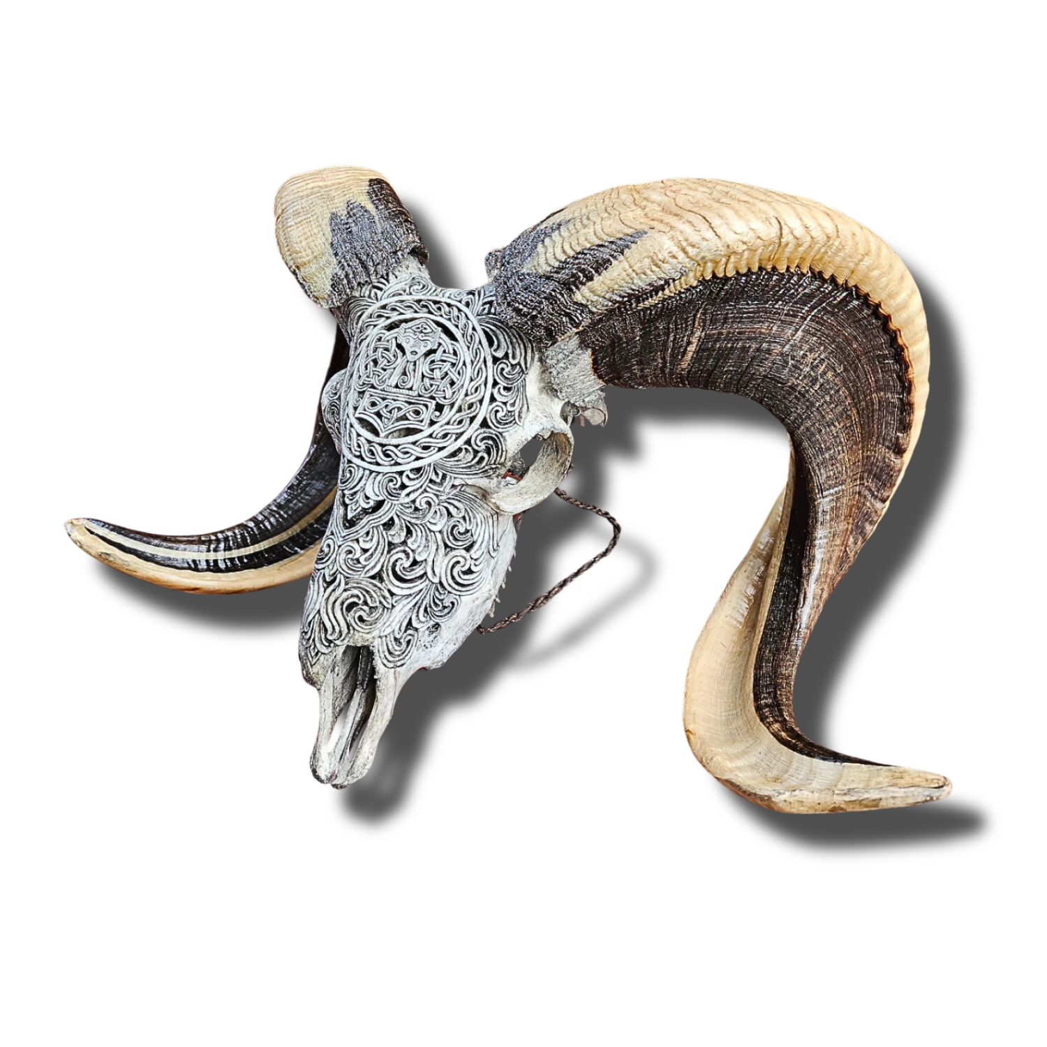 RAM Skull Gray Viking Carved