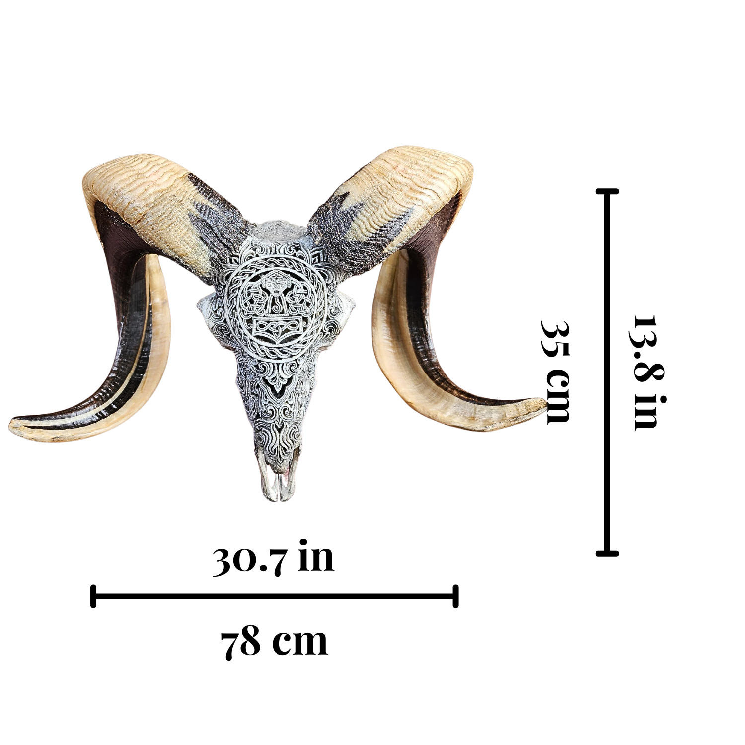 RAM Skull Gray Viking Carved