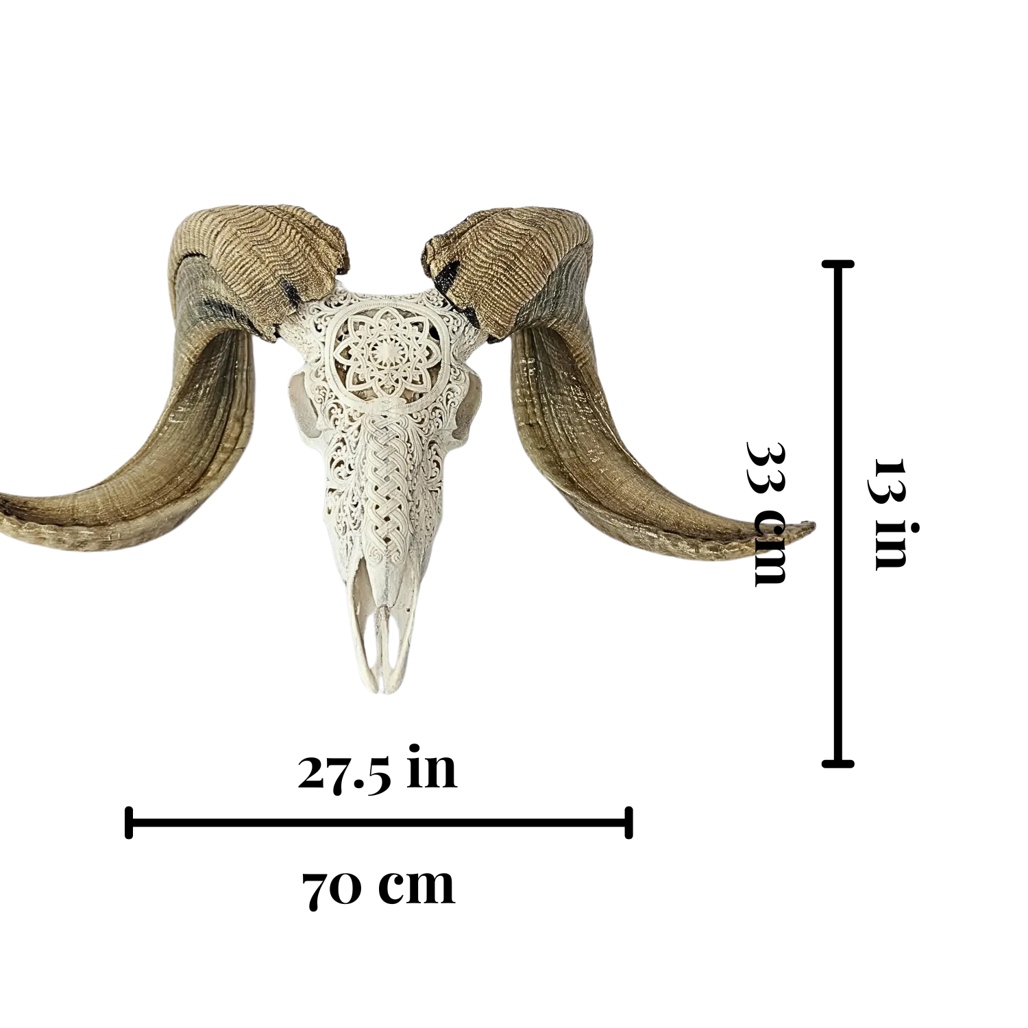 RAM Skull White Celtic Snake Carved