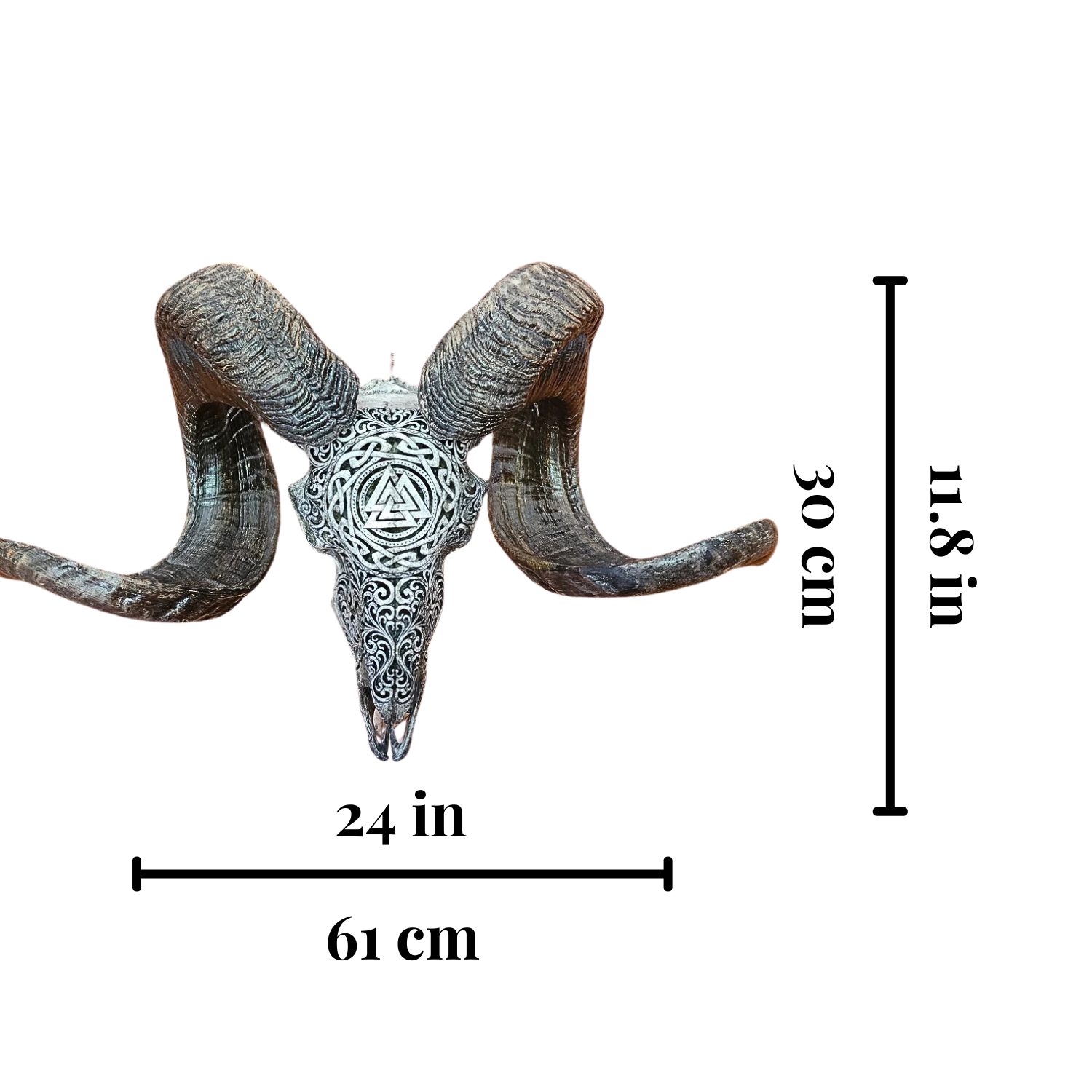 RAM Skull Triple Viking Carved