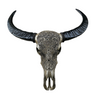 BUFFALO Skull Silver Carved