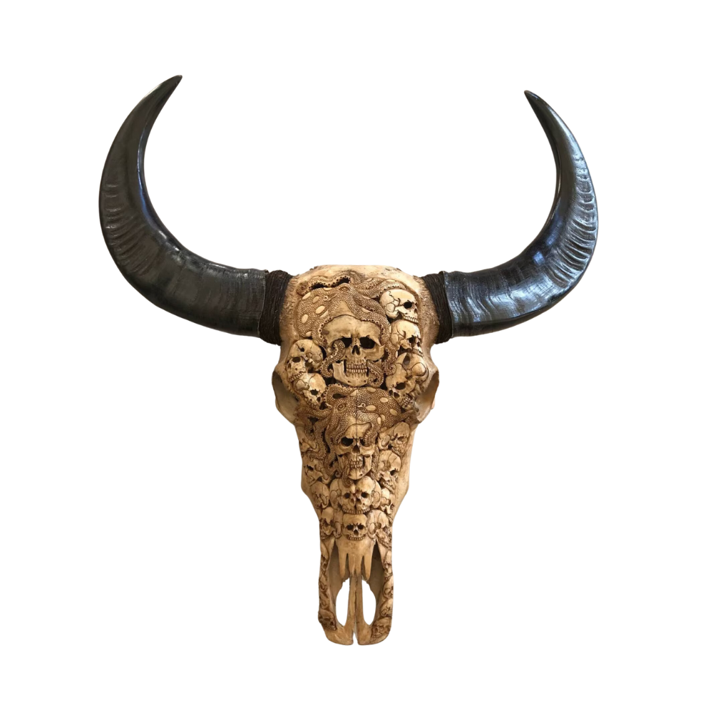 BUFFALO Skull Octopus Carved