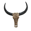 BUFFALO Skull Dragon Carved