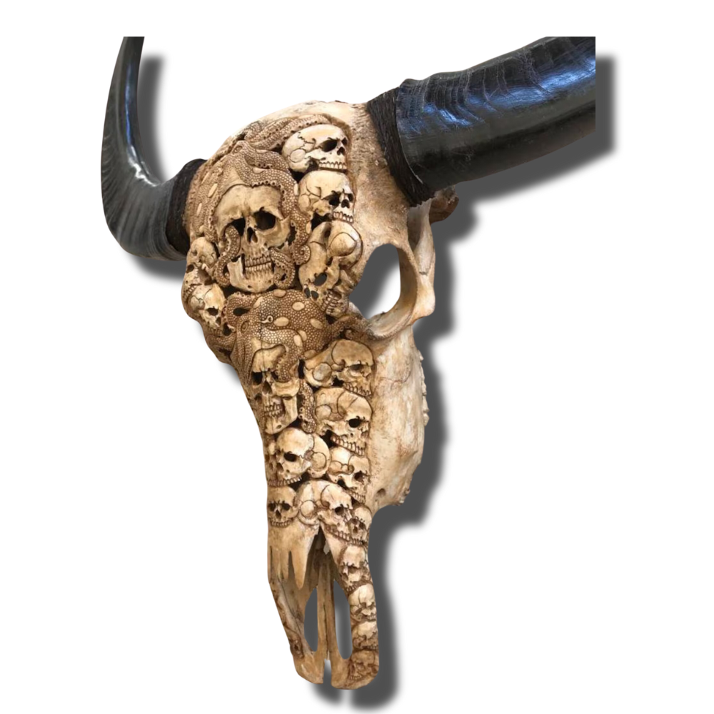 BUFFALO Skull Octopus Carved