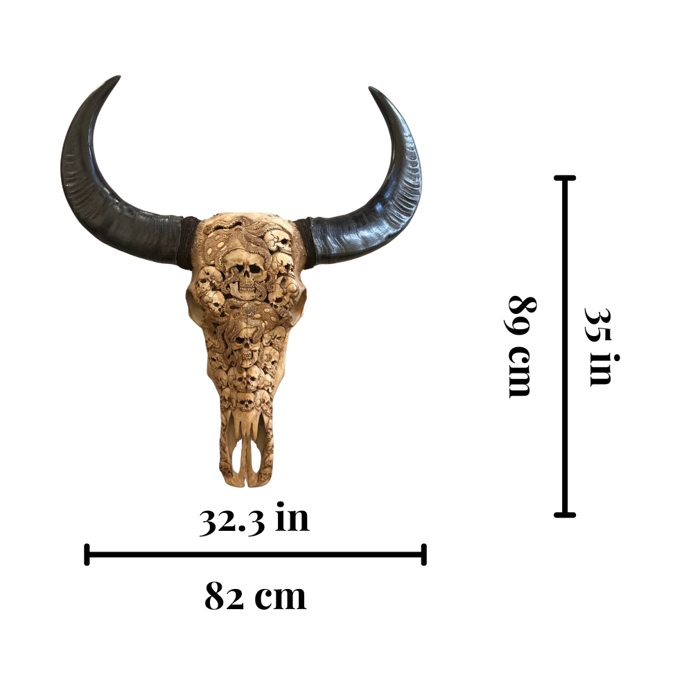 BUFFALO Skull Octopus Carved