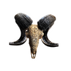 RAM Skull Lion Carved