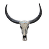 BUFFALO Skull Mosaic Glass